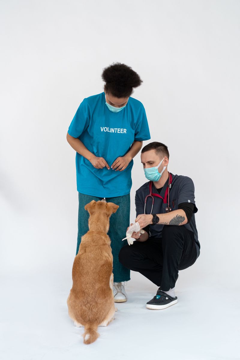 Rabies Vaccination Certificate Information