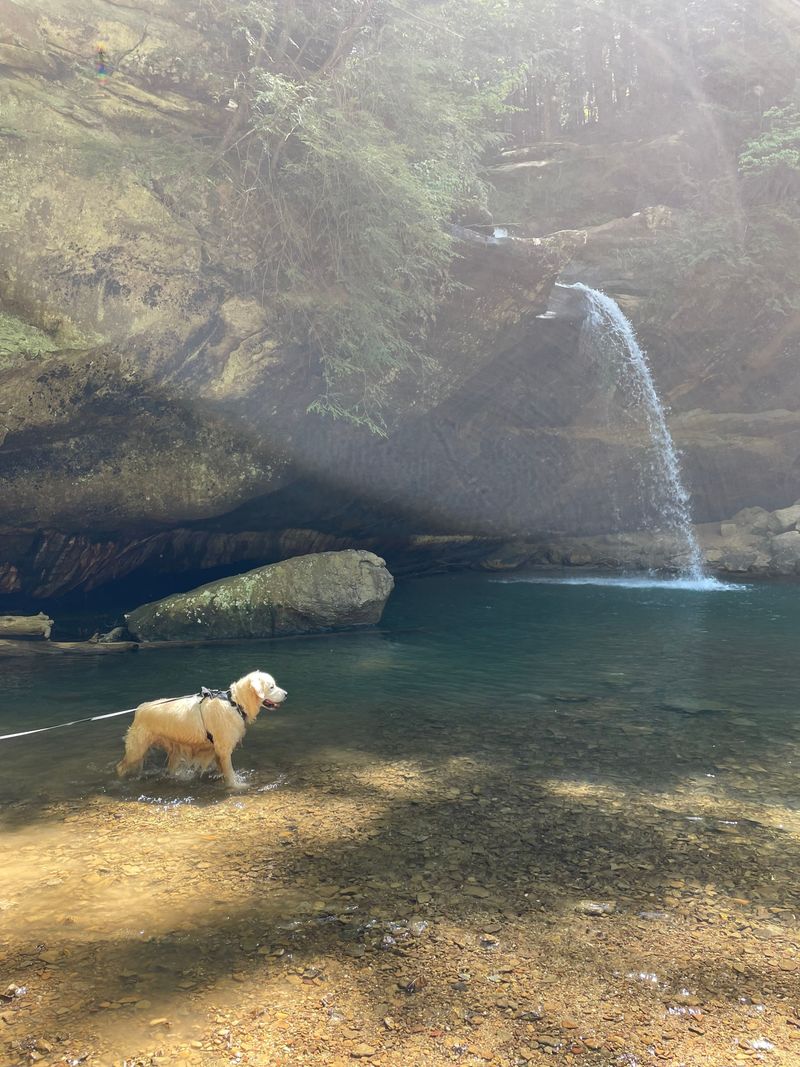 Keep Your Dog Close Near Waterfalls And Cliffs