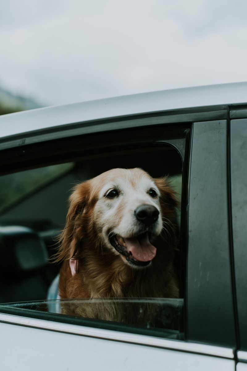 Prepare For Long Drives