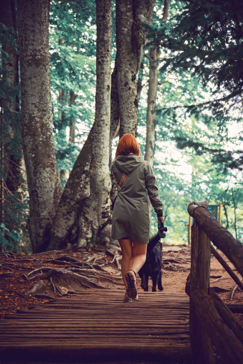 Leave No Trace With Your Dog