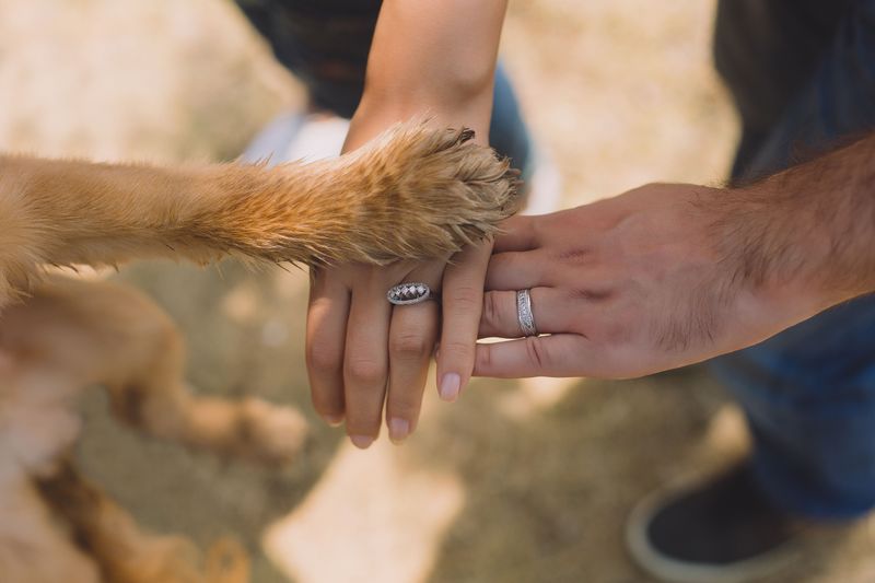 Shared Care Agreements Are Still Possible