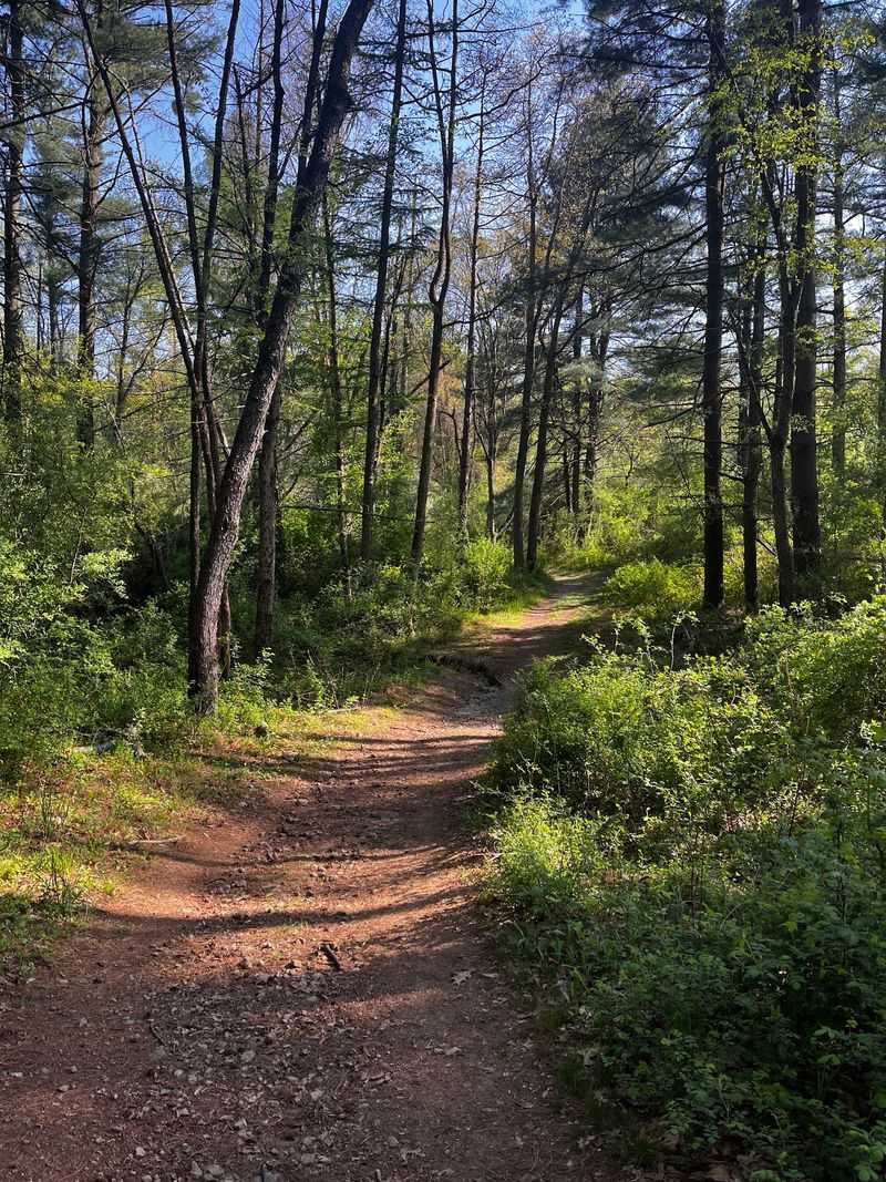 Round Valley Recreation Area: Camp After the Hike In