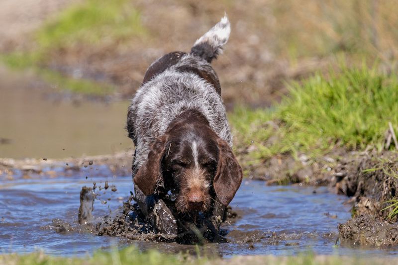 Muddy Water Deserves Extra Caution