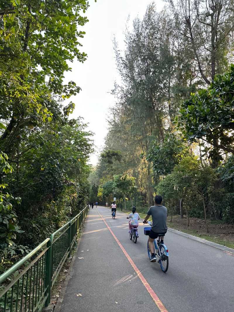 Cyclists and Runners Call for Sharper Leash Manners