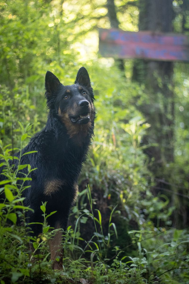 Wildlife Neighbors Call For Closer Supervision