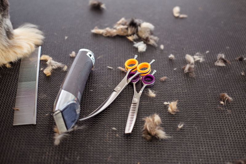 Keep A Tick Comb And Tweezers In Your Hiking Kit