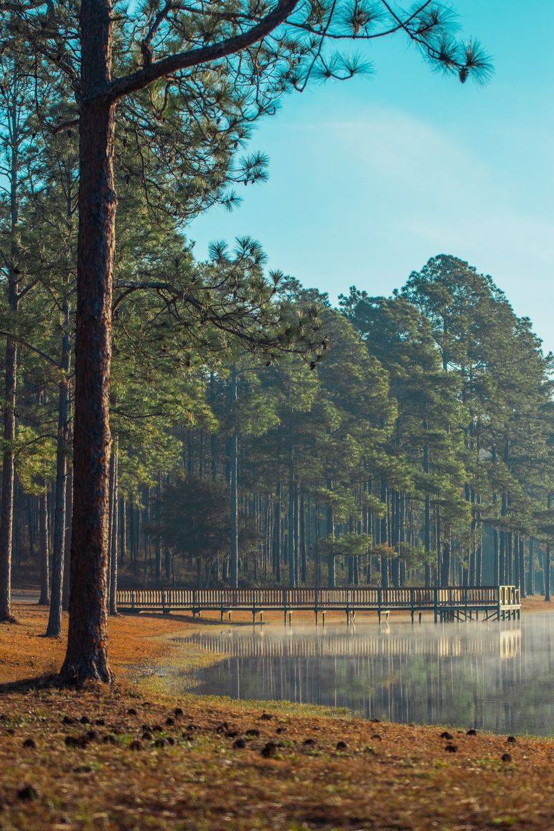 Open Pond Recreation Area, Conecuh National Forest