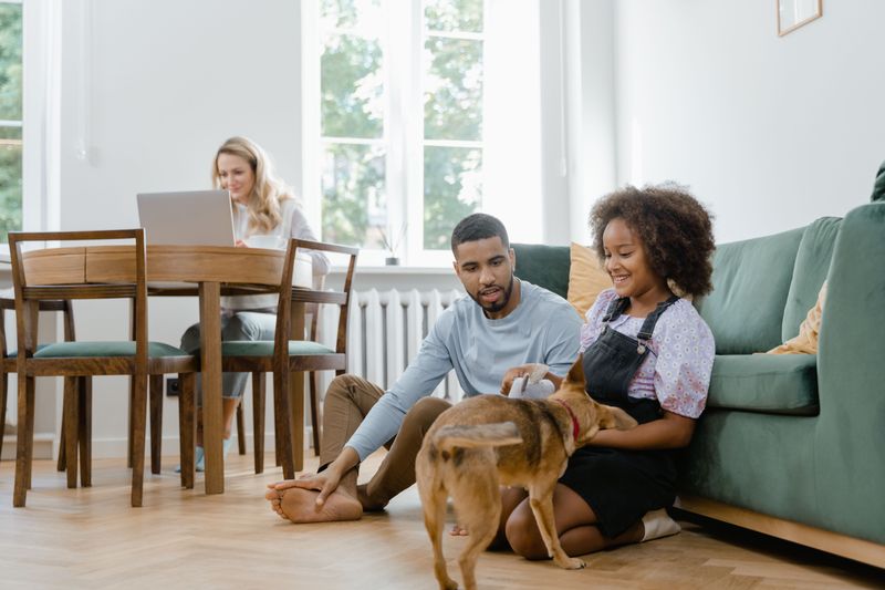 Renters Insurance With Animal Liability Included