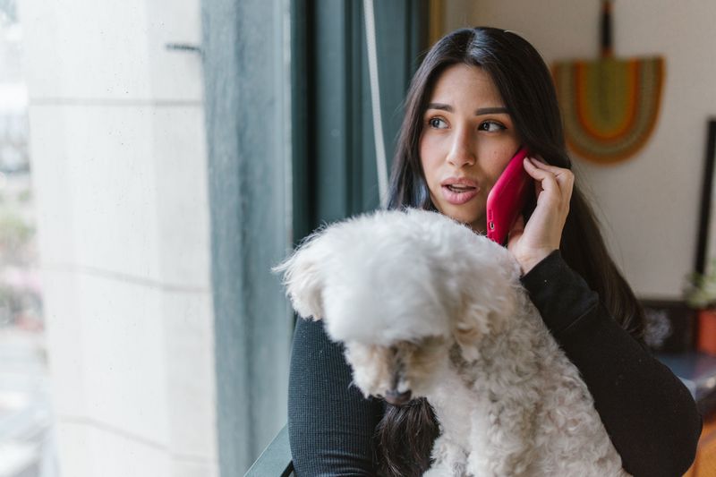 Emergency Contact and Temporary Caregiver Information