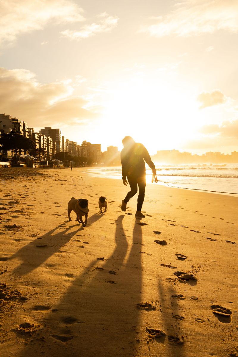 Beat The Florida Heat On Walks