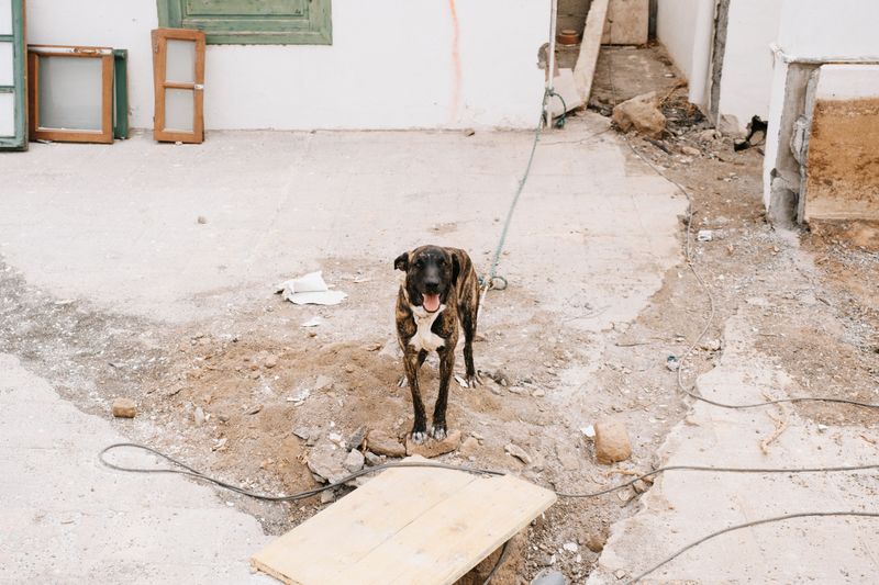 Prepare For Broken Glass And Debris Outside