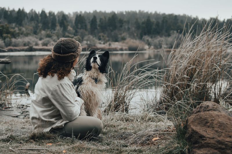 Give Your Dog Quiet Breaks