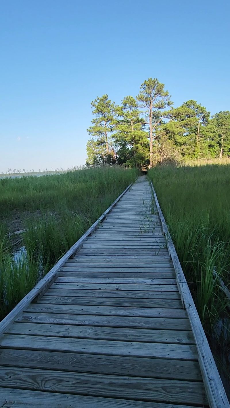 York River State Park