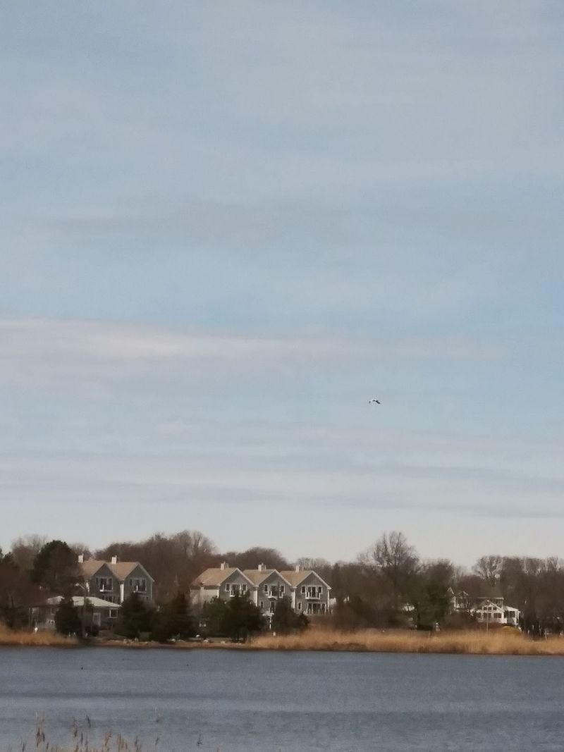 Scituate Town Forest, Scituate