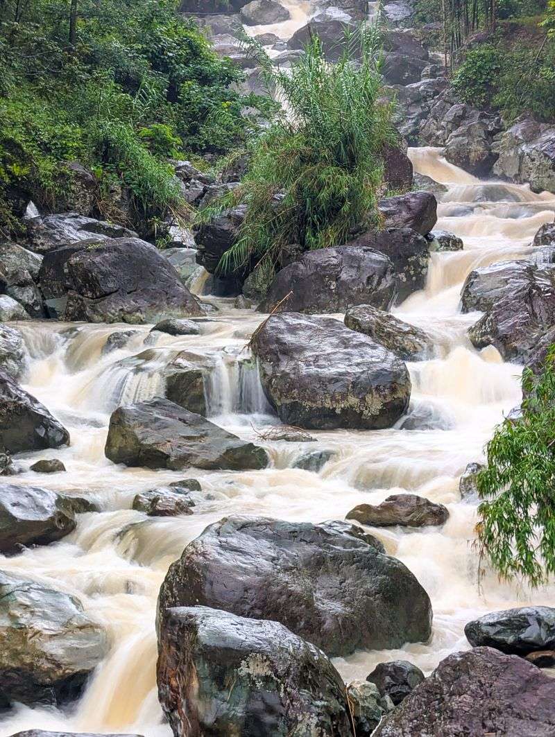 Rain Can Turn a Familiar Stream Into a Different Place