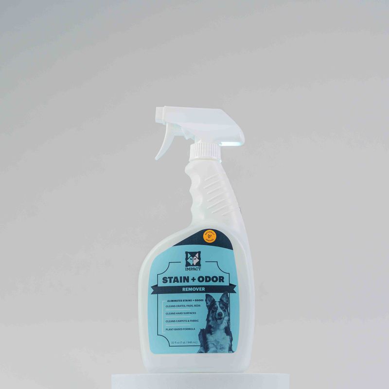 Erase the Odor With an Enzymatic Cleaner