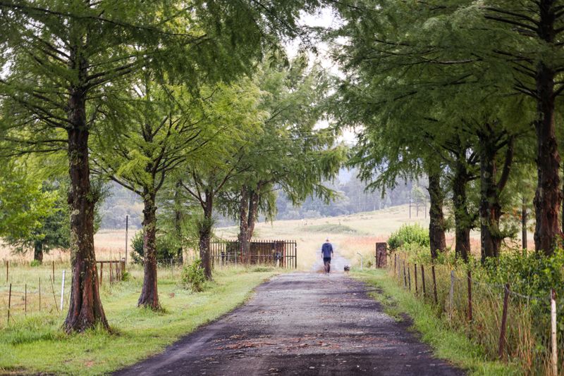 Walks Stretch Into Property Loops And Trail Circuits