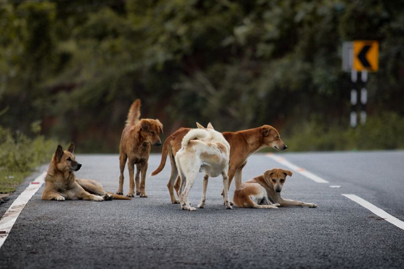 Pick More Than One Evacuation Route