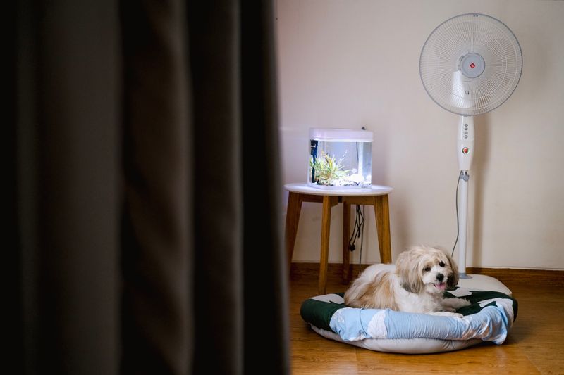 Build Comfort With Indoor Sounds