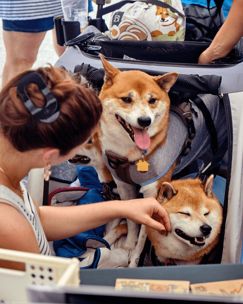 Start With a Short Transit Trip