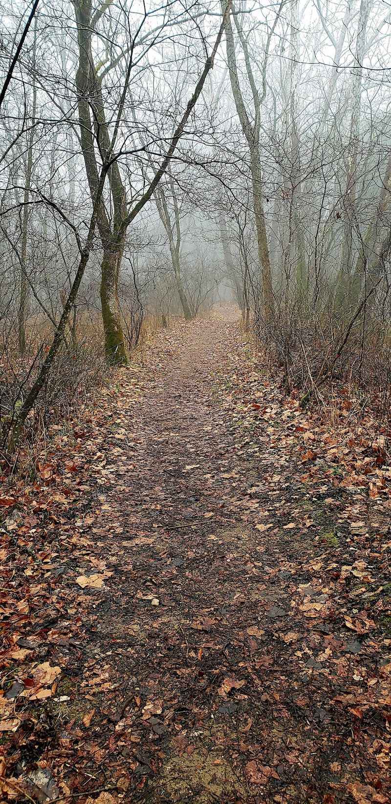 Clear Creek Metro Park
