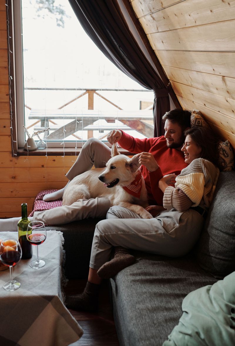 Choose Pet-Friendly Lodging
