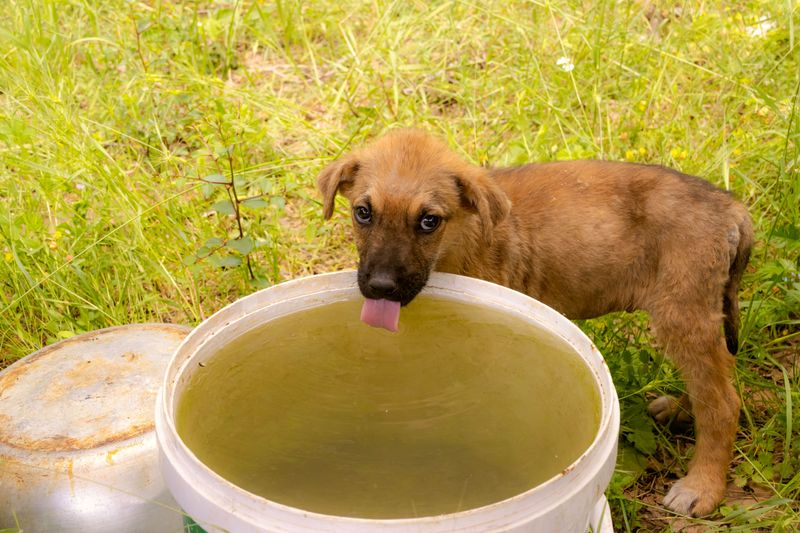 Store Extra Drinking Water