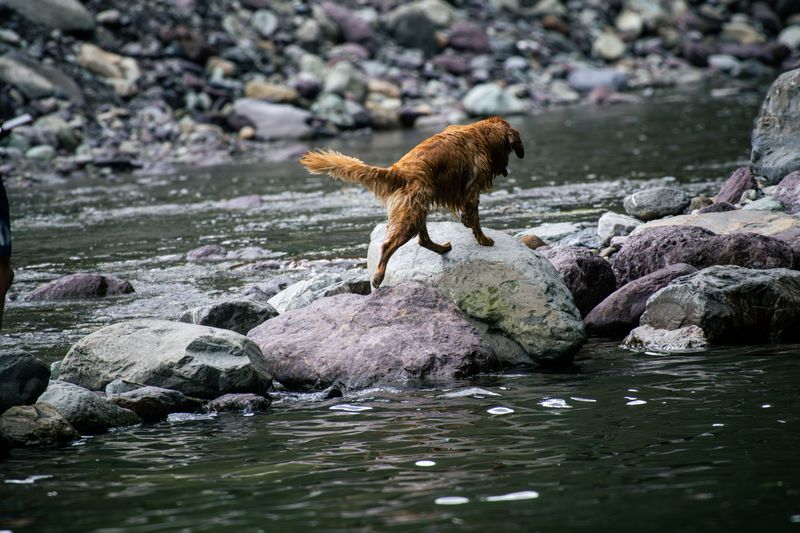 Stay Safe Around Fast-Moving Water