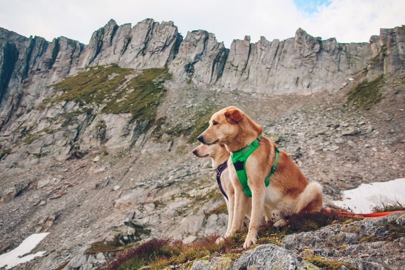 Watching for Loose and Uneven Terrain