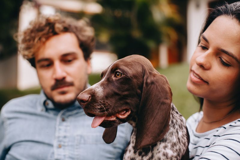 A Shared Dog May Be Awarded to Just One Person