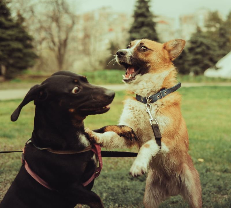 Causation Connects Conduct With Injury
