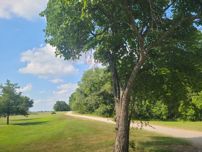 Princeton Prairie