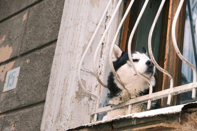 Secure Windows and Screens