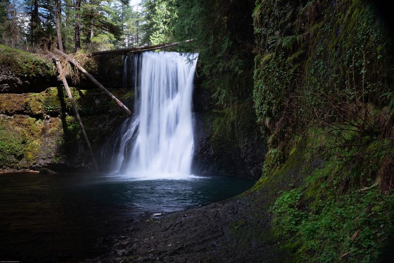Perimeter Trail, Silver Falls State Park