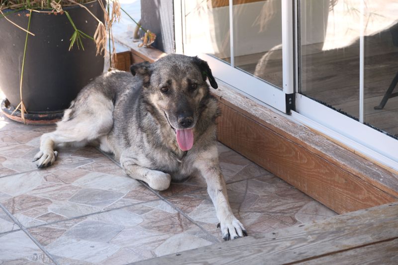 Summer Heat Still Reaches Screened Porches