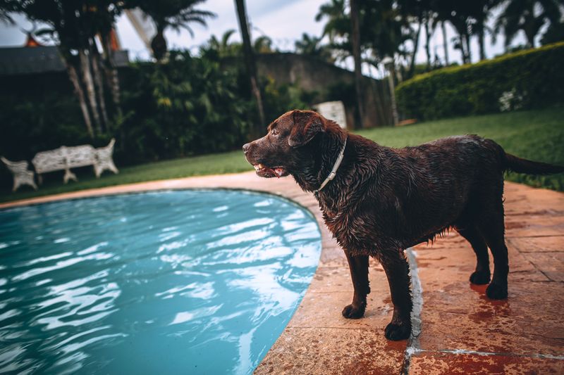 Swimming Can Leave Salt Or Pool Residue