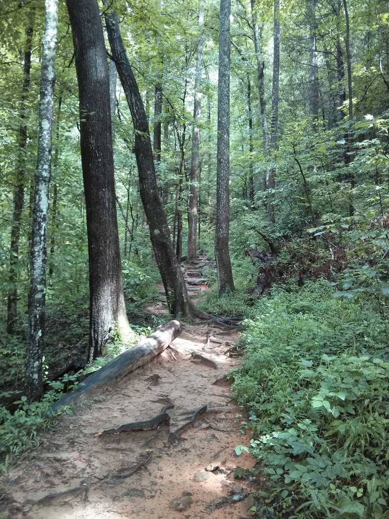Carrick Creek Loop