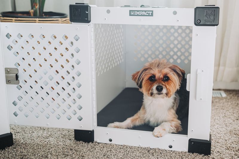 Let a Crate Do the Babysitting Between Trips