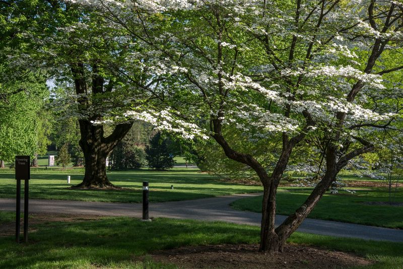 Louise Arnold Tanger Arboretum, Lancaster