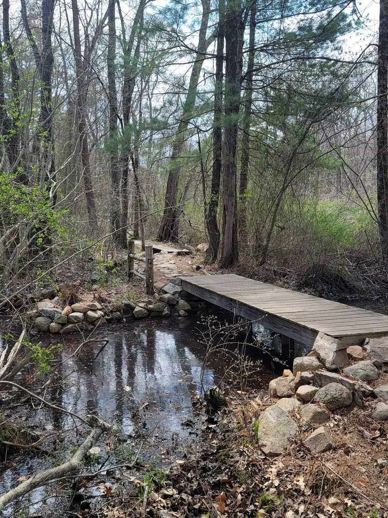 Rockland Town Forest, Rockland