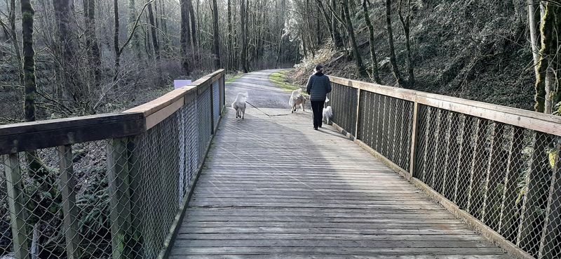 Issaquah-Preston Trail