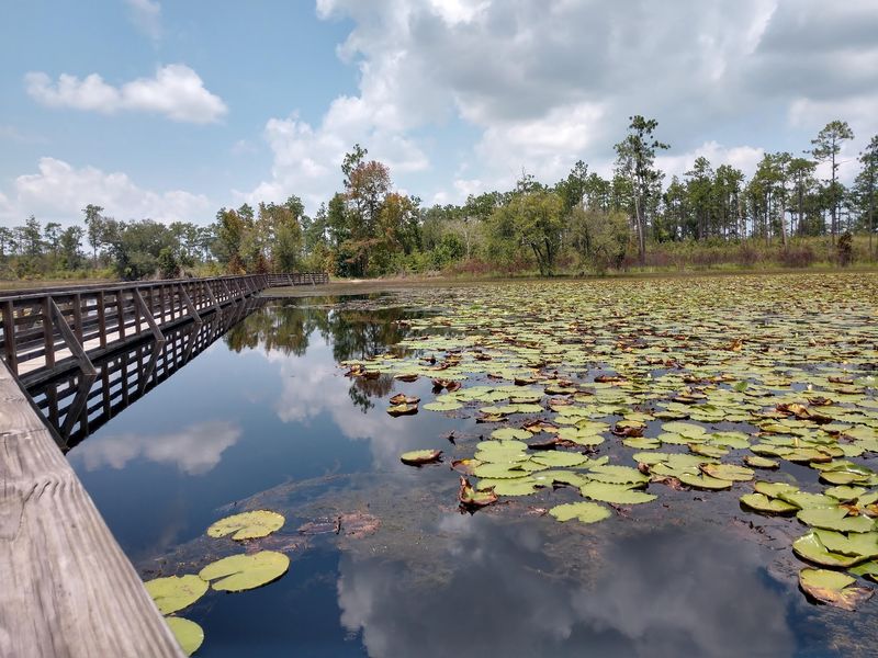 Seminole State Park, Donalsonville