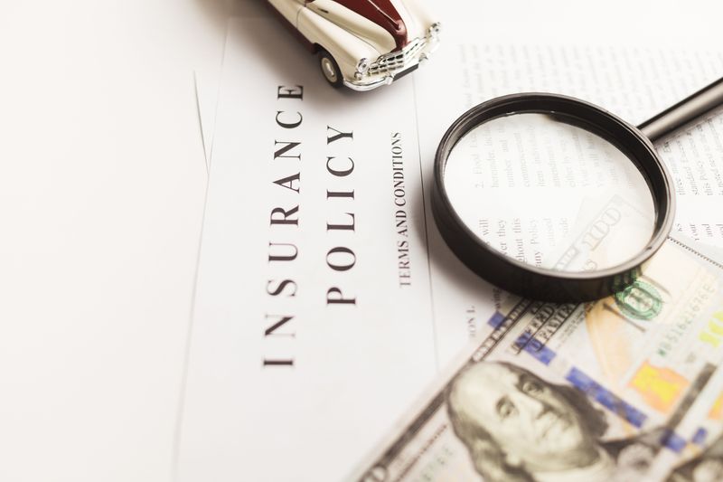Renters Insurance And Dog Liability