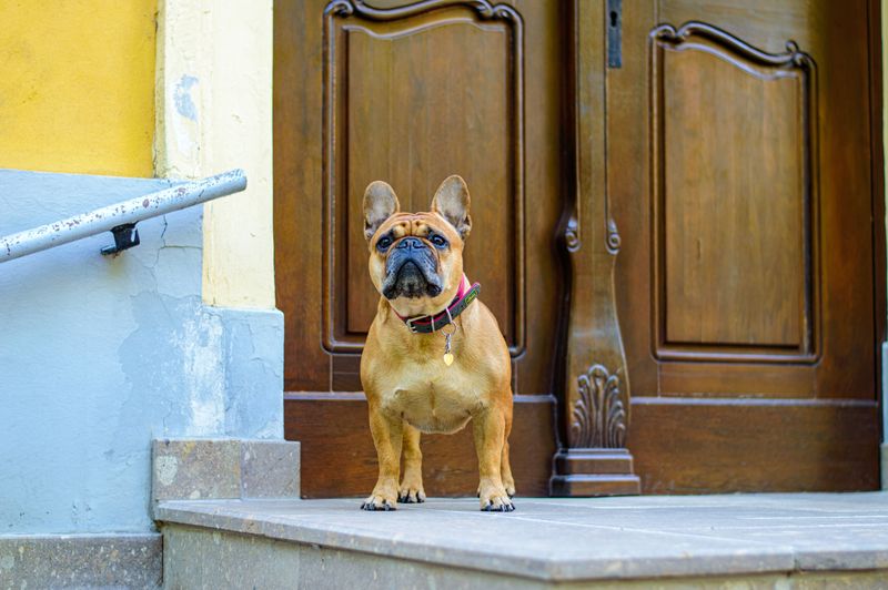 Calm Greetings At The Door