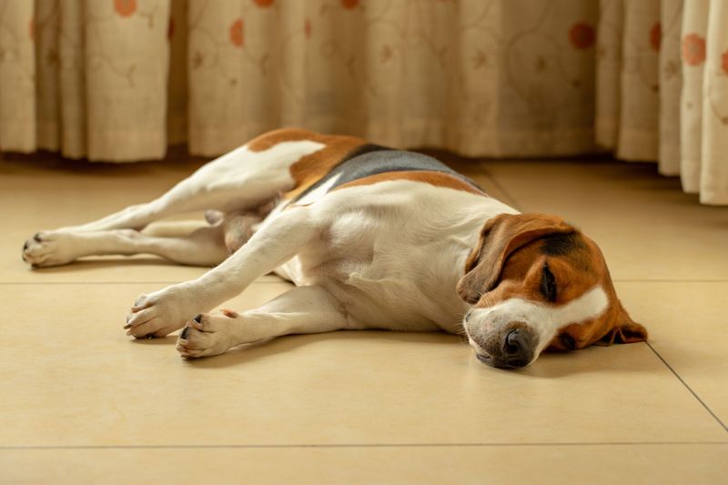 Trade Carpet for Cool Tile or Stone