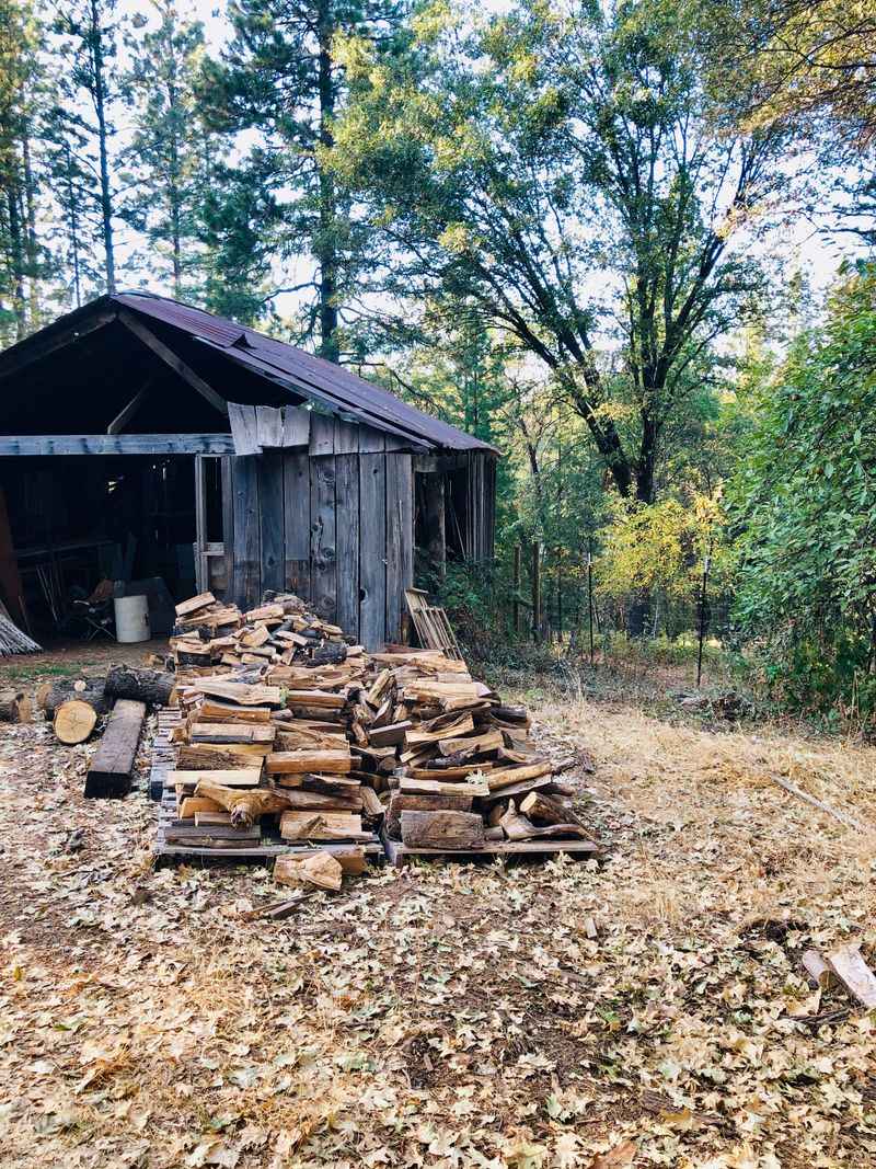 Be Careful Around Rock Piles and Wood Piles