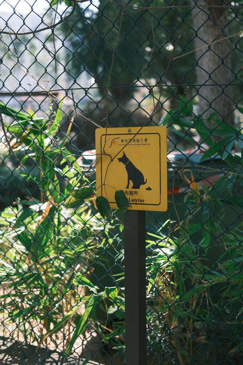 Know The Approved Potty Spots
