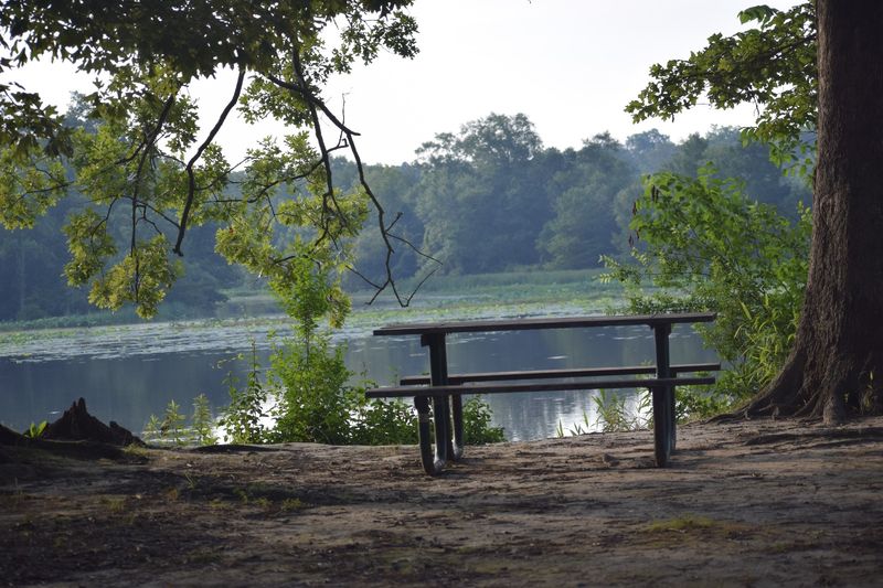 River Bend Picnic Area, Canton