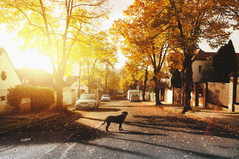 Staying Focused Around Neighborhood Noise