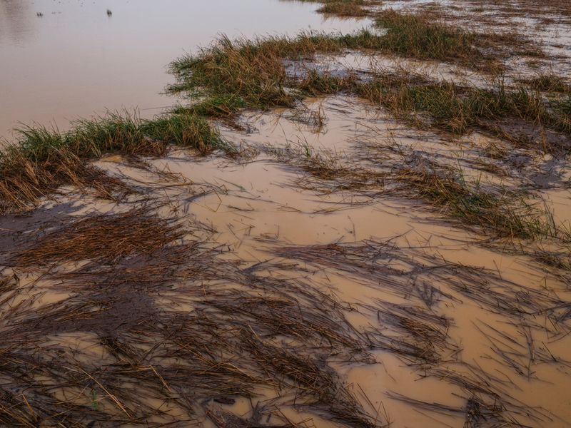 Slippery Pond Banks After Rain